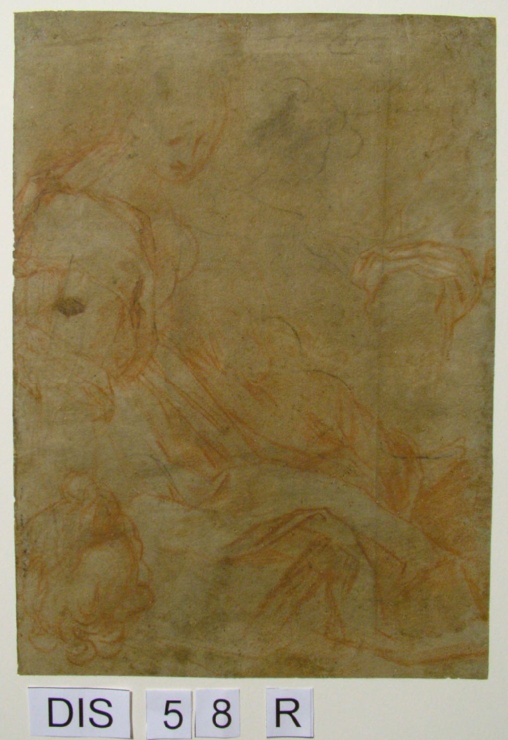 figura femminile seduta (disegno) di Barocci Federico (sec. XVI)