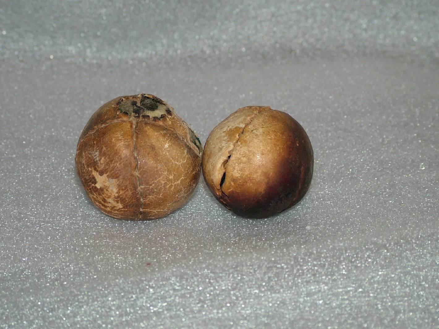 palla - bottega marchigiana (sec. XVII)