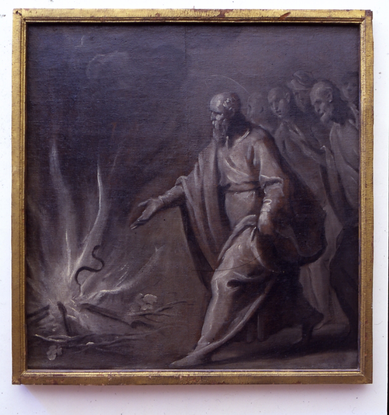 San Paolo morto dalle vipere a Malta (dipinto, serie) di Ridolfi Claudio (sec. XVII)