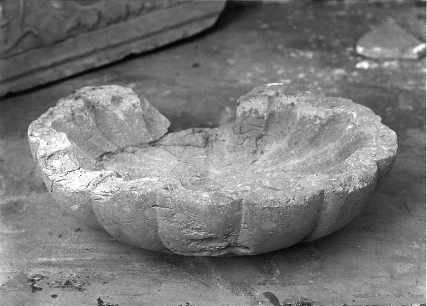 acquasantiera - a conchiglia, opera isolata - bottega Italia meridionale (secc. XV/ XVIII)
