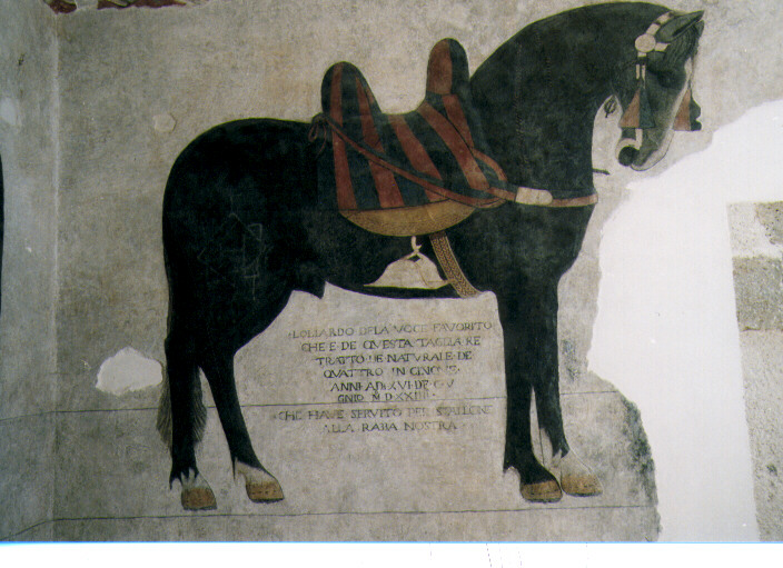 cavallo "liardo" con sella e finimenti da passeggio in stoffa/ morso (dipinto) - ambito molisano (sec. XVI)