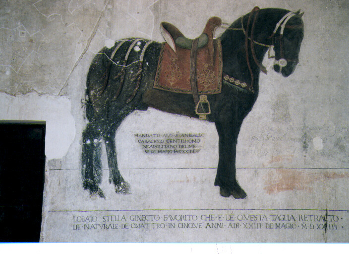cavallo e morso (dipinto) - ambito molisano (sec. XVI)