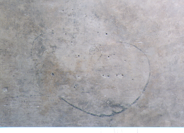 testa d'uomo (dipinto) - ambito molisano (prima metà sec. XVI)