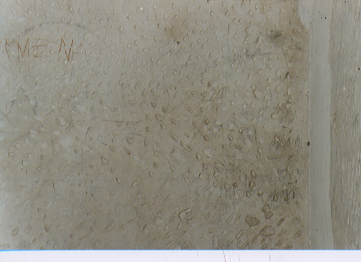 dipinto - ambito molisano (sec. XVI)