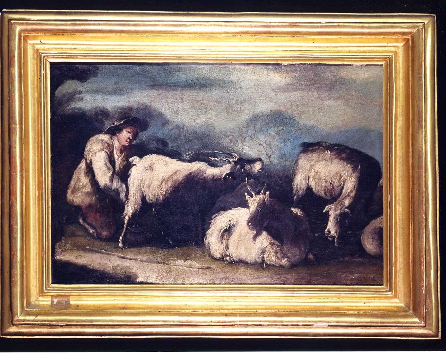 scena pastorale (dipinto) di Tassone Giuseppe (attribuito) (fine/inizio secc. XVII/ XVIII)