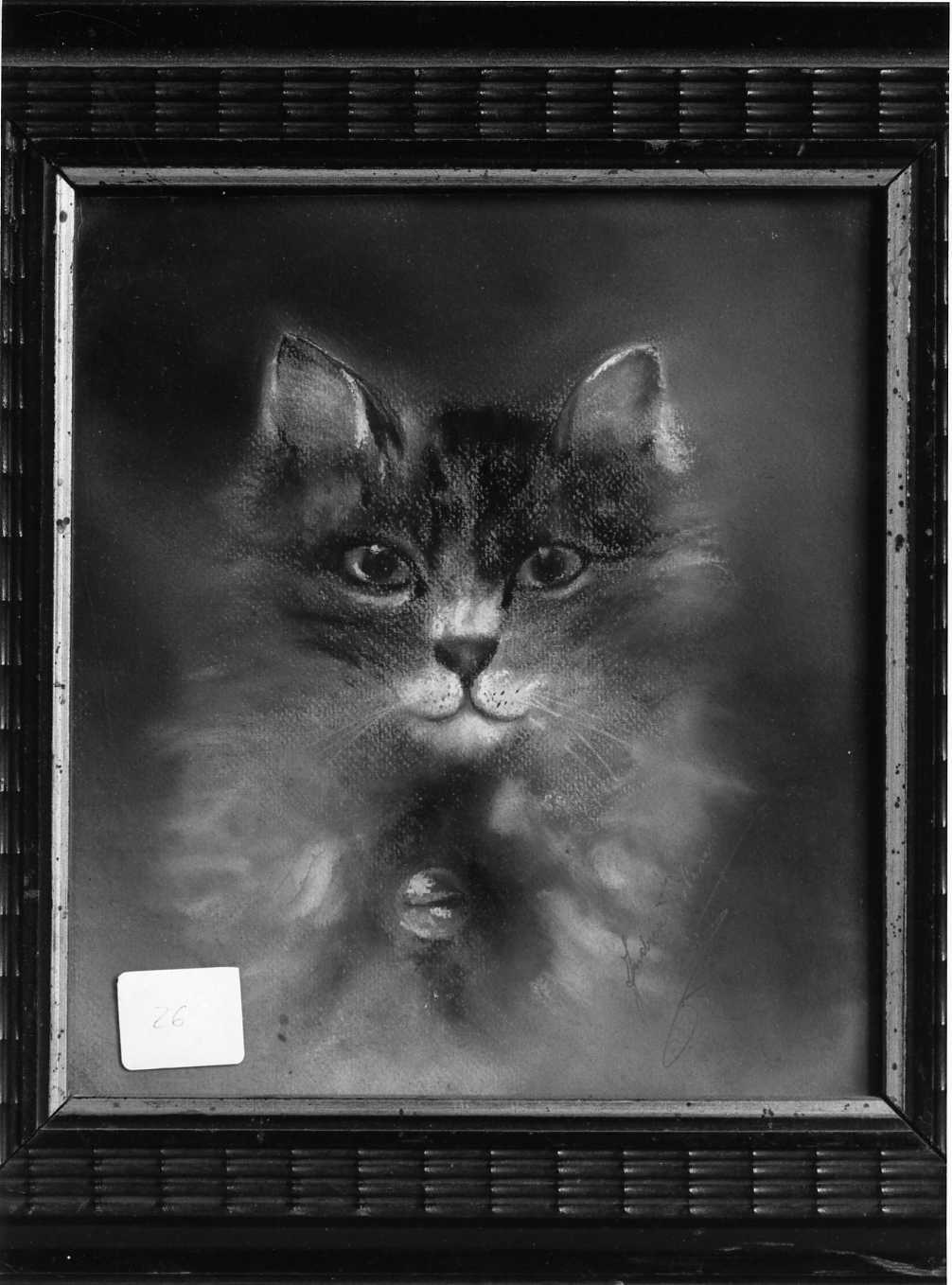 gatto (dipinto) di Pilone Andrea (prima metà sec. XX)