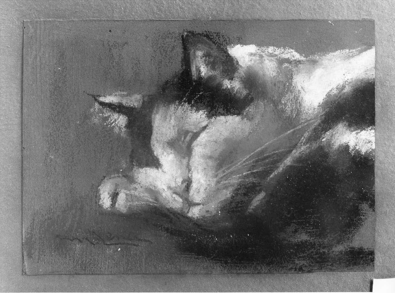 gatto (dipinto) di Lenci Marino (sec. XX)