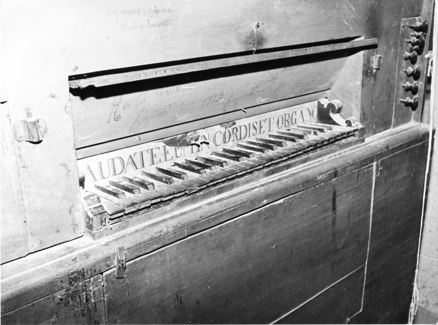 organo - bottega italiana (prima metà sec. XIX)