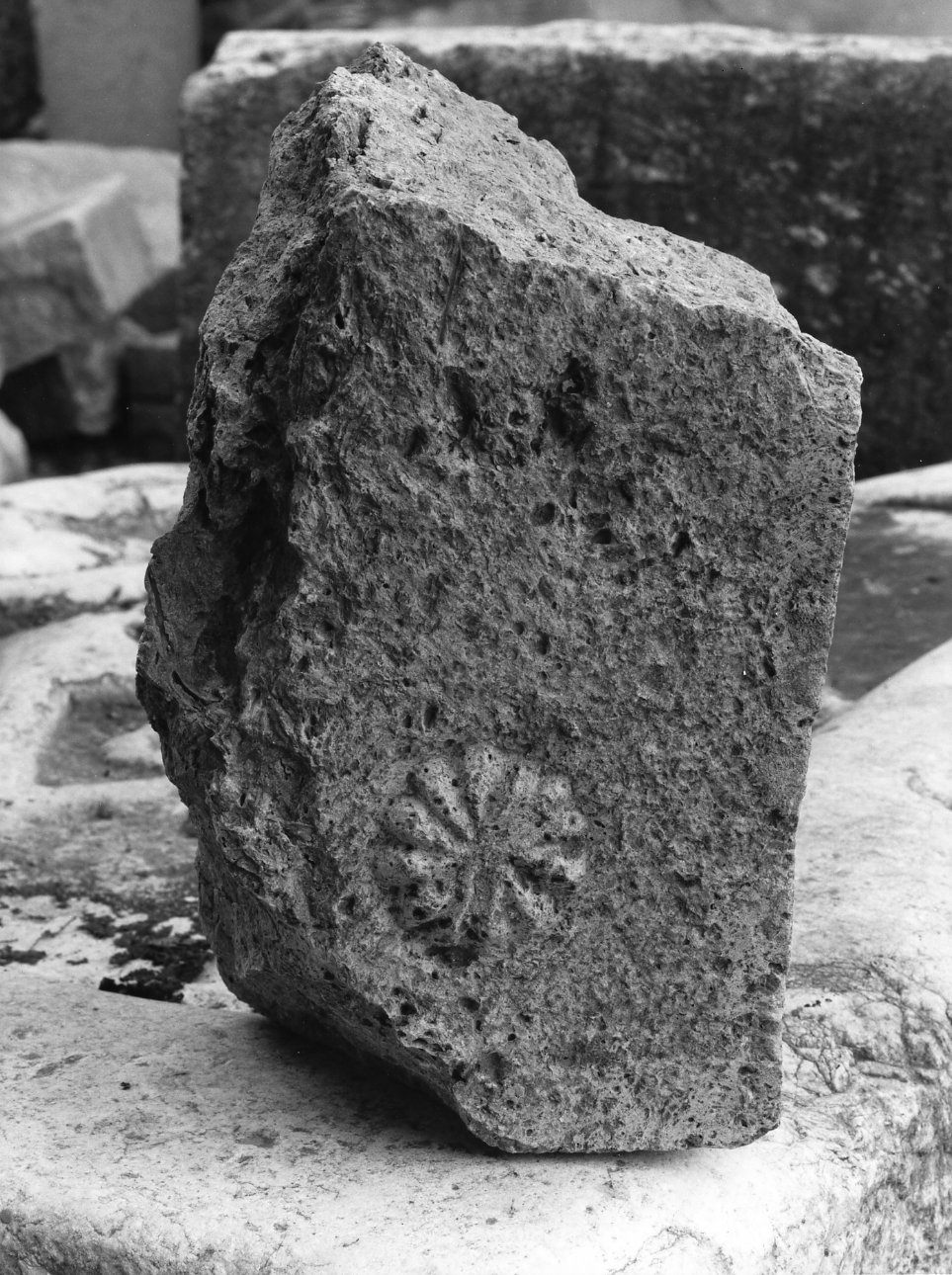 concio - bottega molisana (sec. XII)