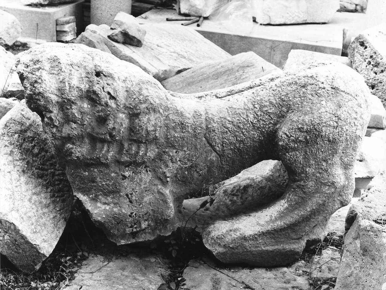 leone (scultura) - bottega Italia meridionale (sec. XIII)