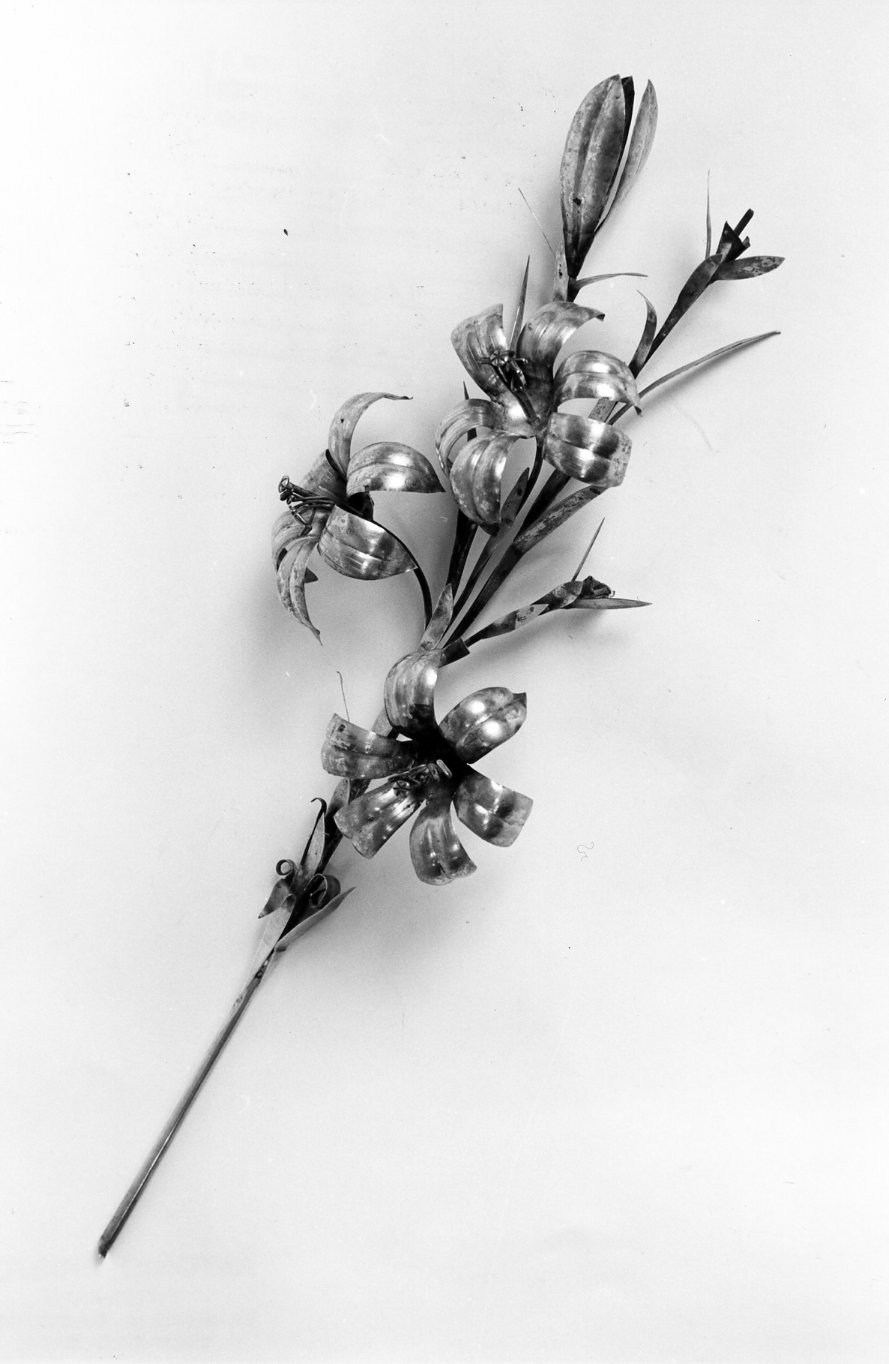 attributo iconografico di immagine sacra, opera isolata - bottega Italia meridionale (sec. XIX)