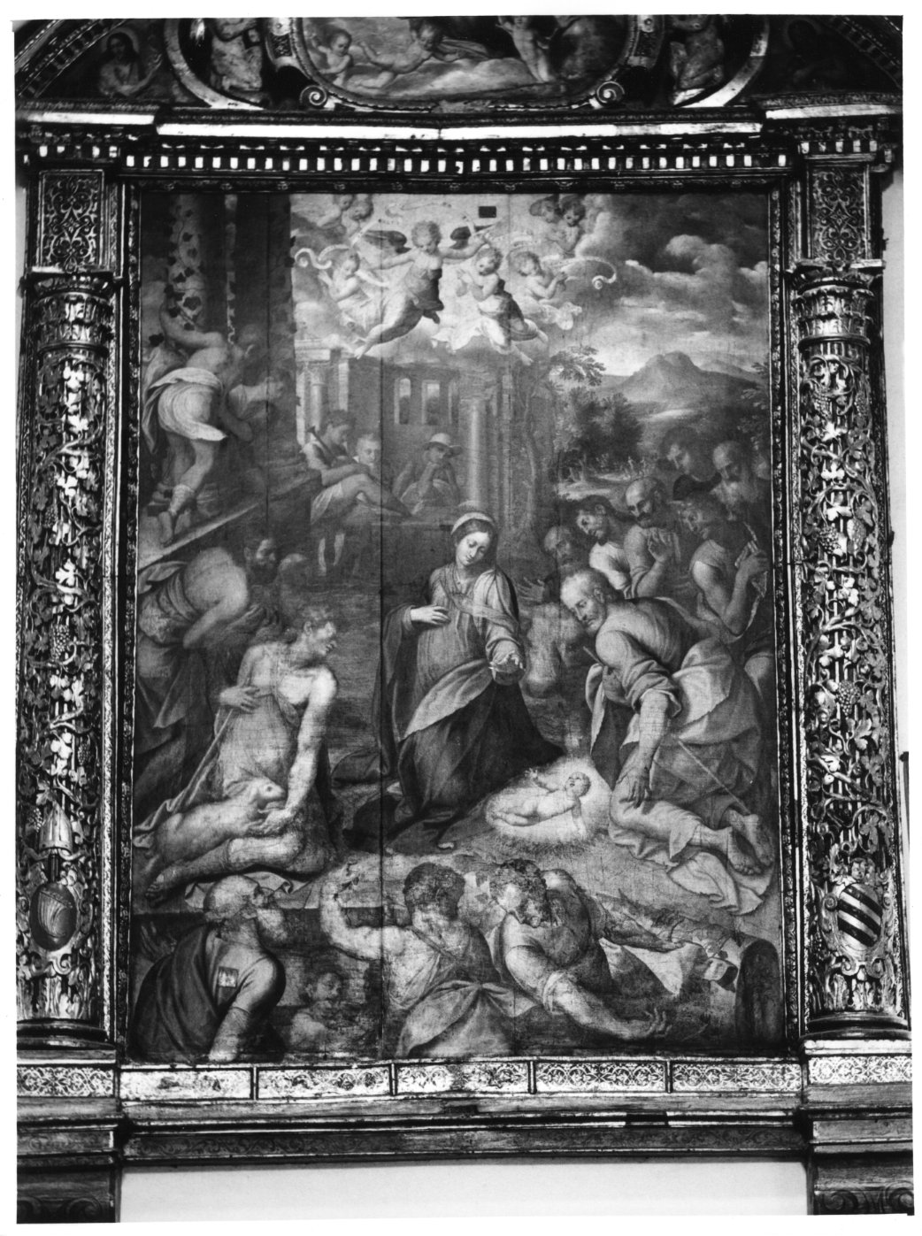 natività di Gesù (dipinto) di Pino Marco (attribuito) (sec. XVI)