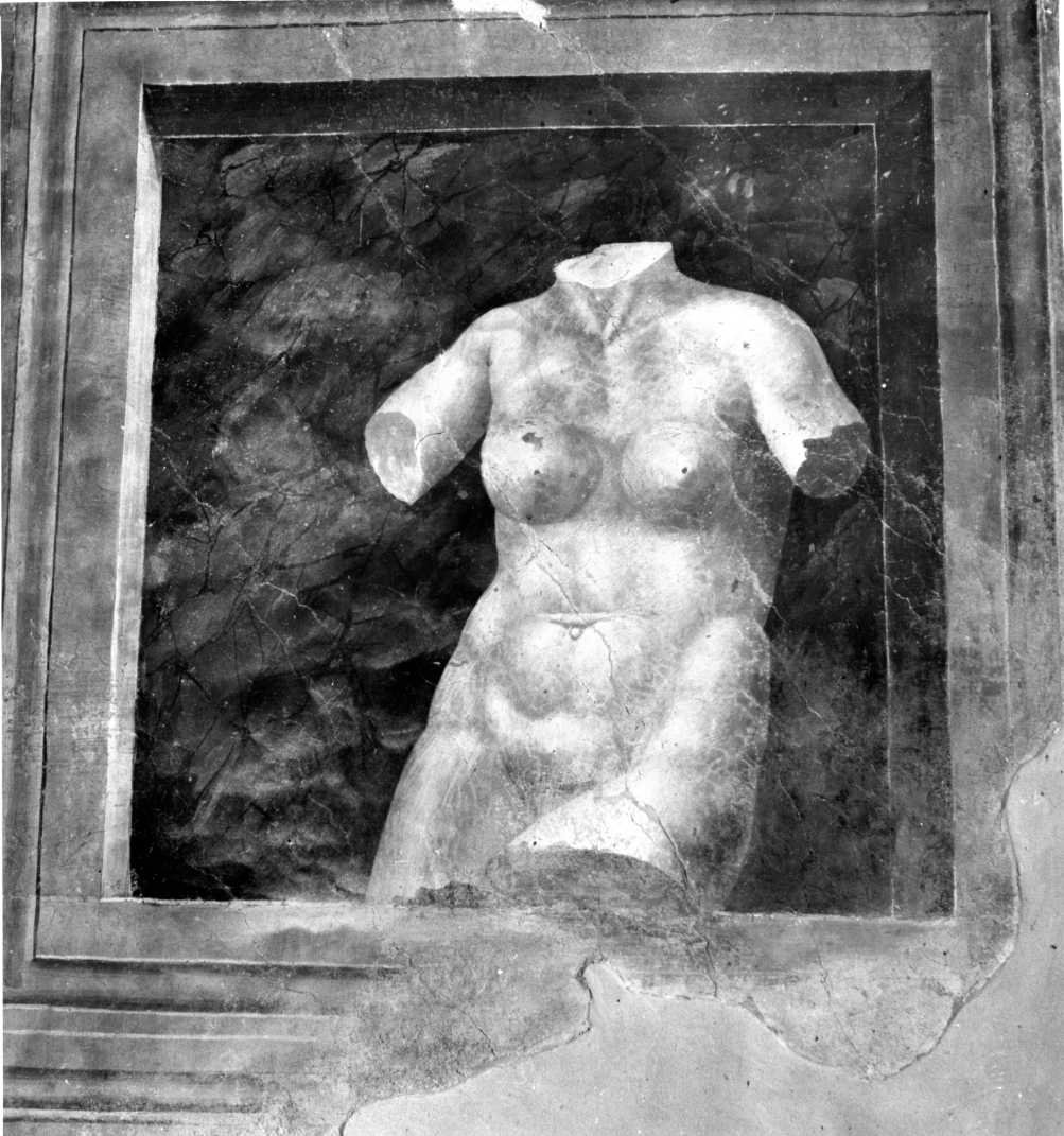 busto femminile (decorazione pittorica, elemento d'insieme) di Donato da Copertino (sec. XVI)