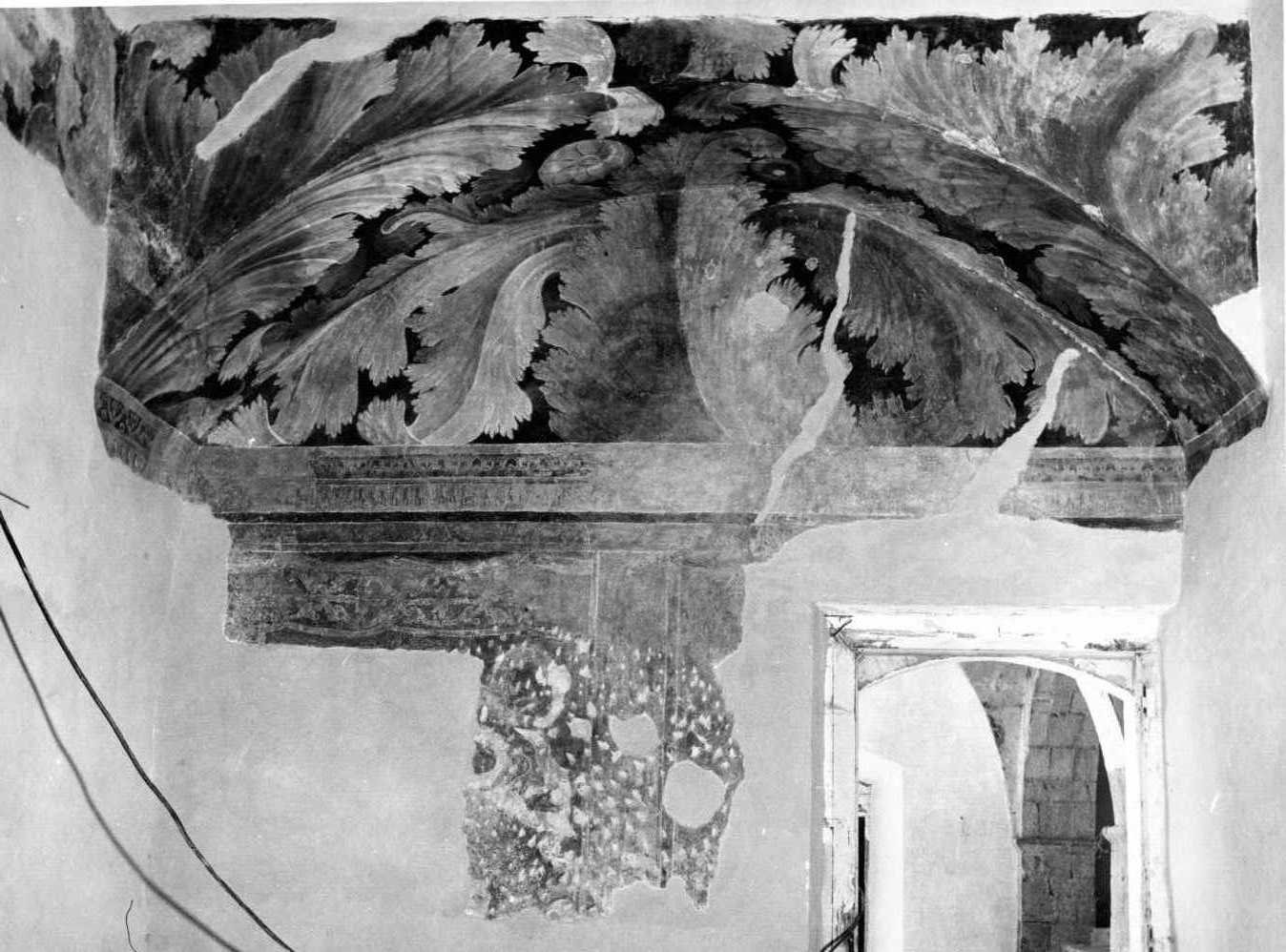 motivi decorativi vegetali (decorazione pittorica, elemento d'insieme) di Donato da Copertino (sec. XVI)