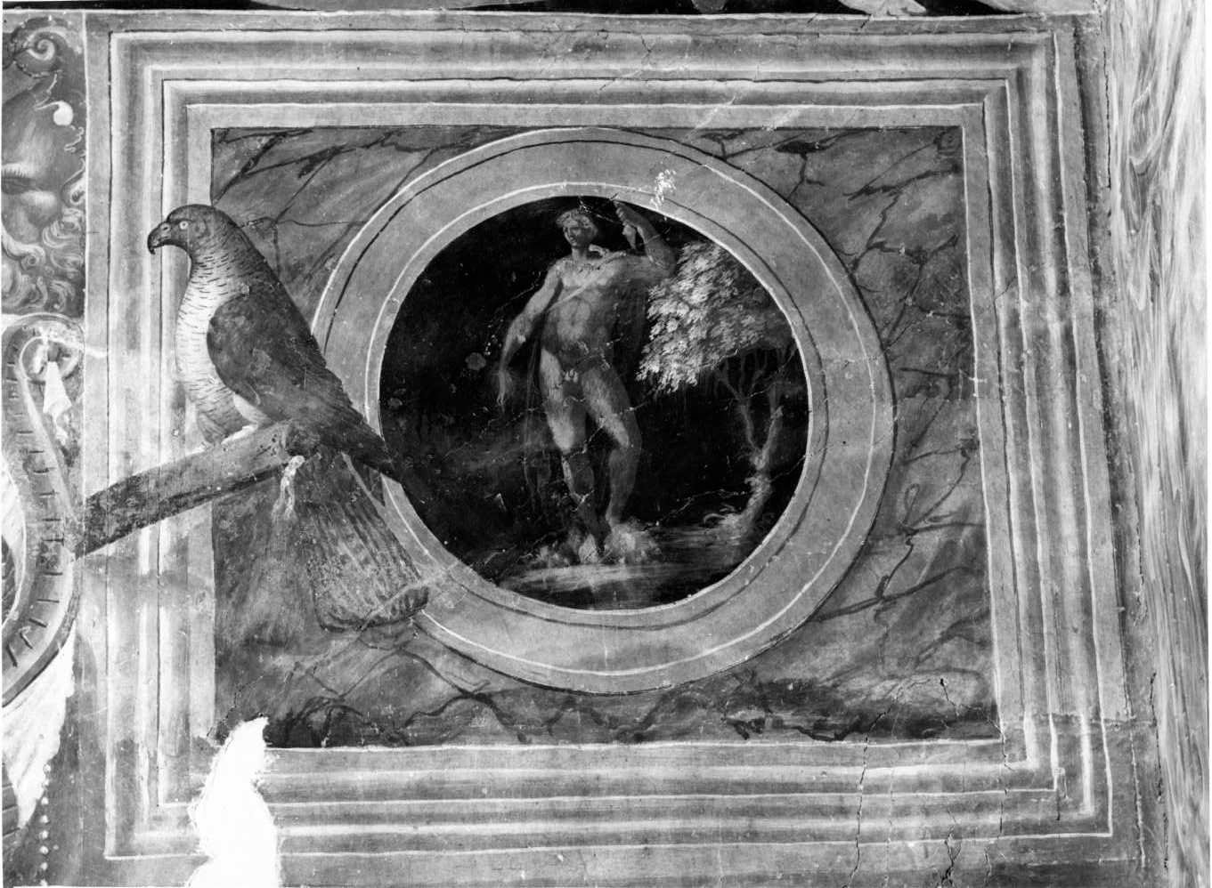 figura maschile (decorazione pittorica, elemento d'insieme) di Donato da Copertino (sec. XVI)