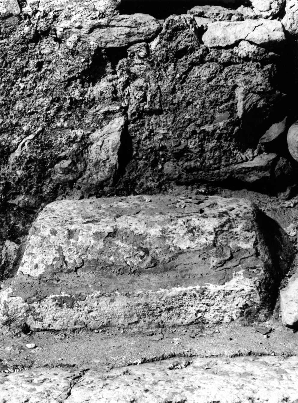 cornice, frammento - bottega molisana (sec. XII)