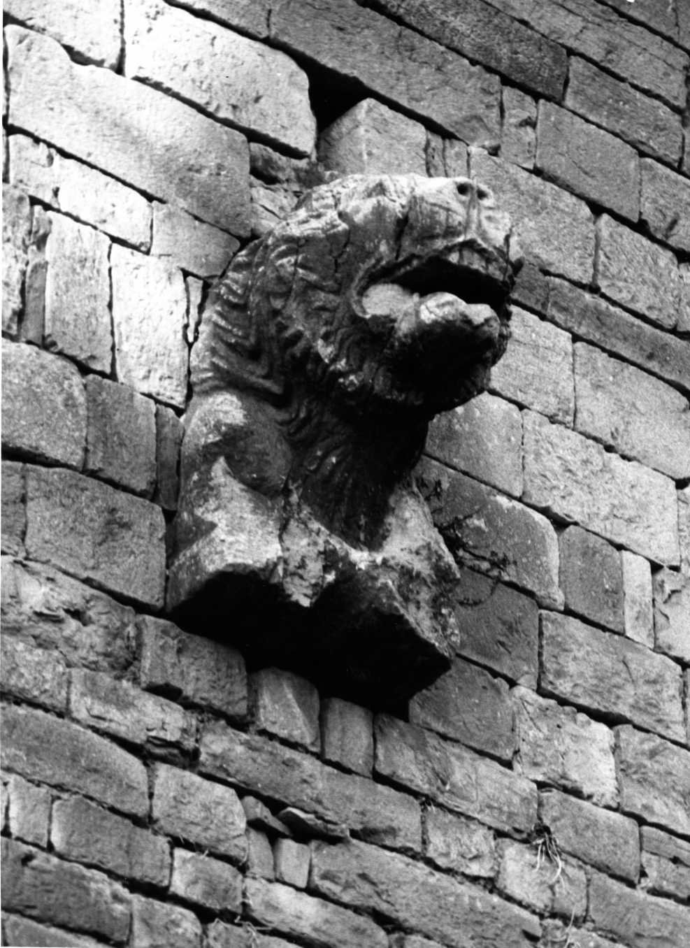 protome, coppia - bottega Italia meridionale (sec. XIII)