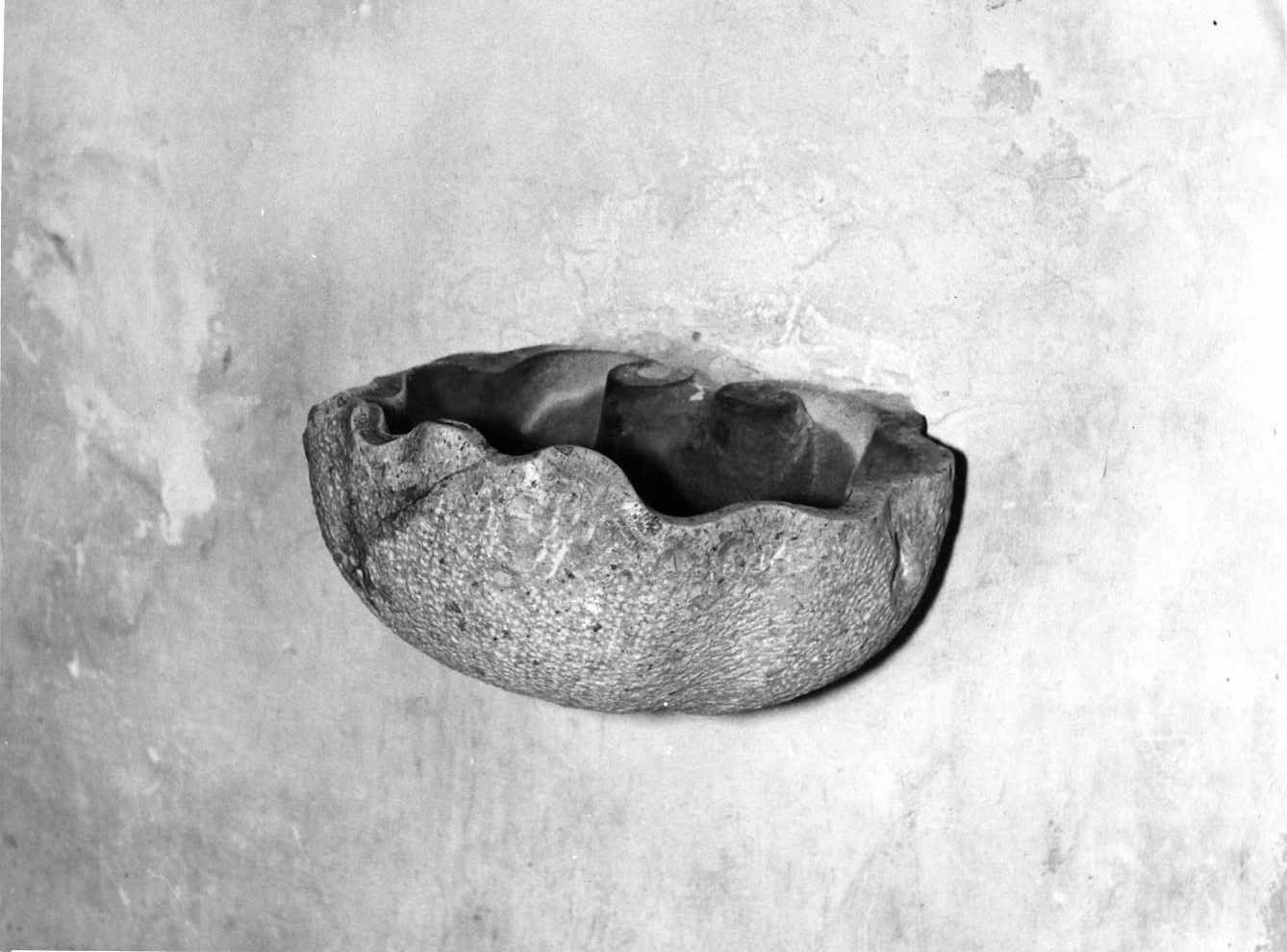 acquasantiera - bottega italiana (secc. XVII/ XVIII)