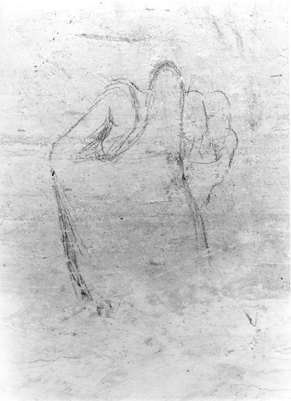 mano chiusa a pugno (dipinto, opera isolata) - ambito molisano (seconda metà sec. XIX)