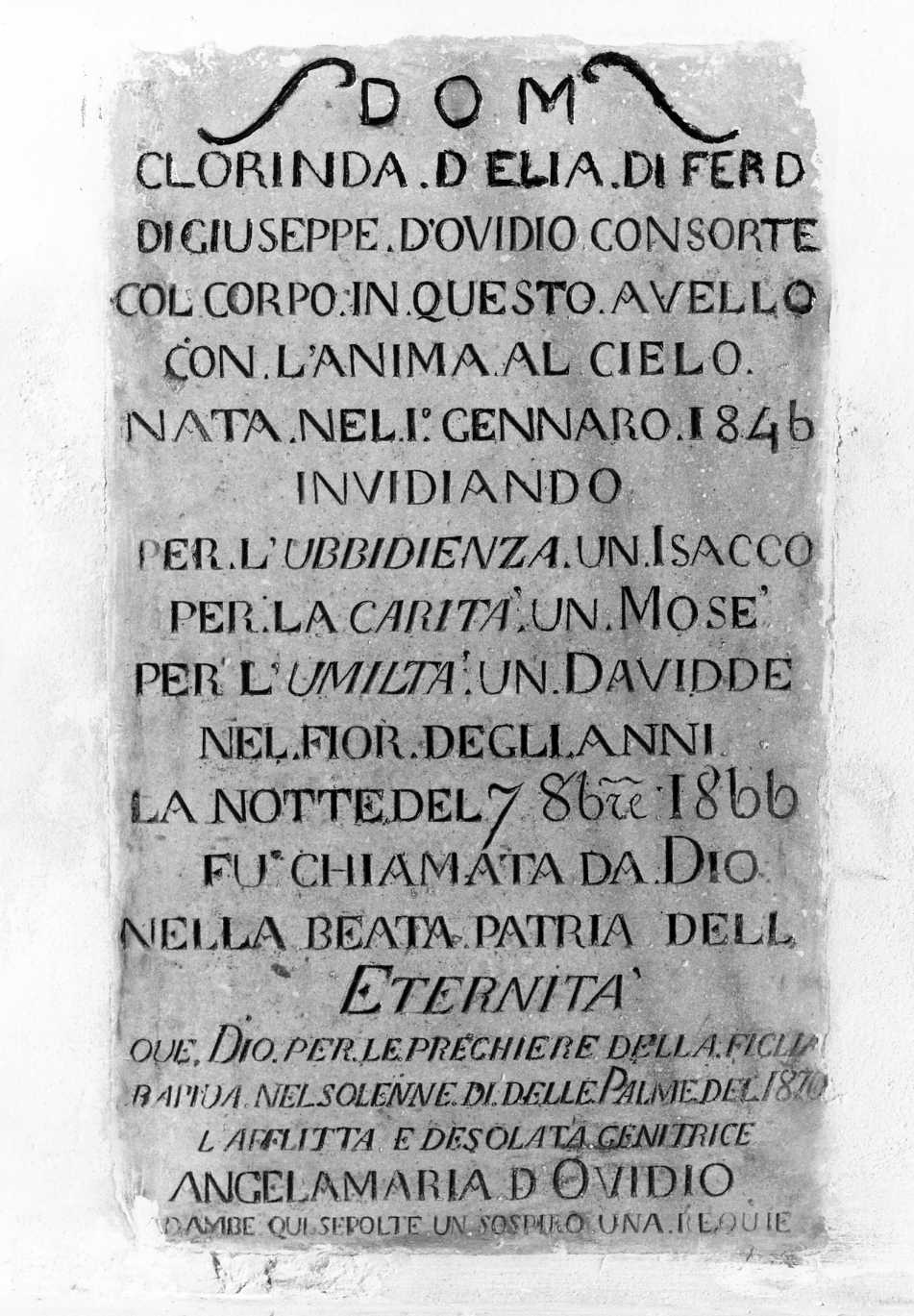 lapide - bottega molisana (sec. XIX)