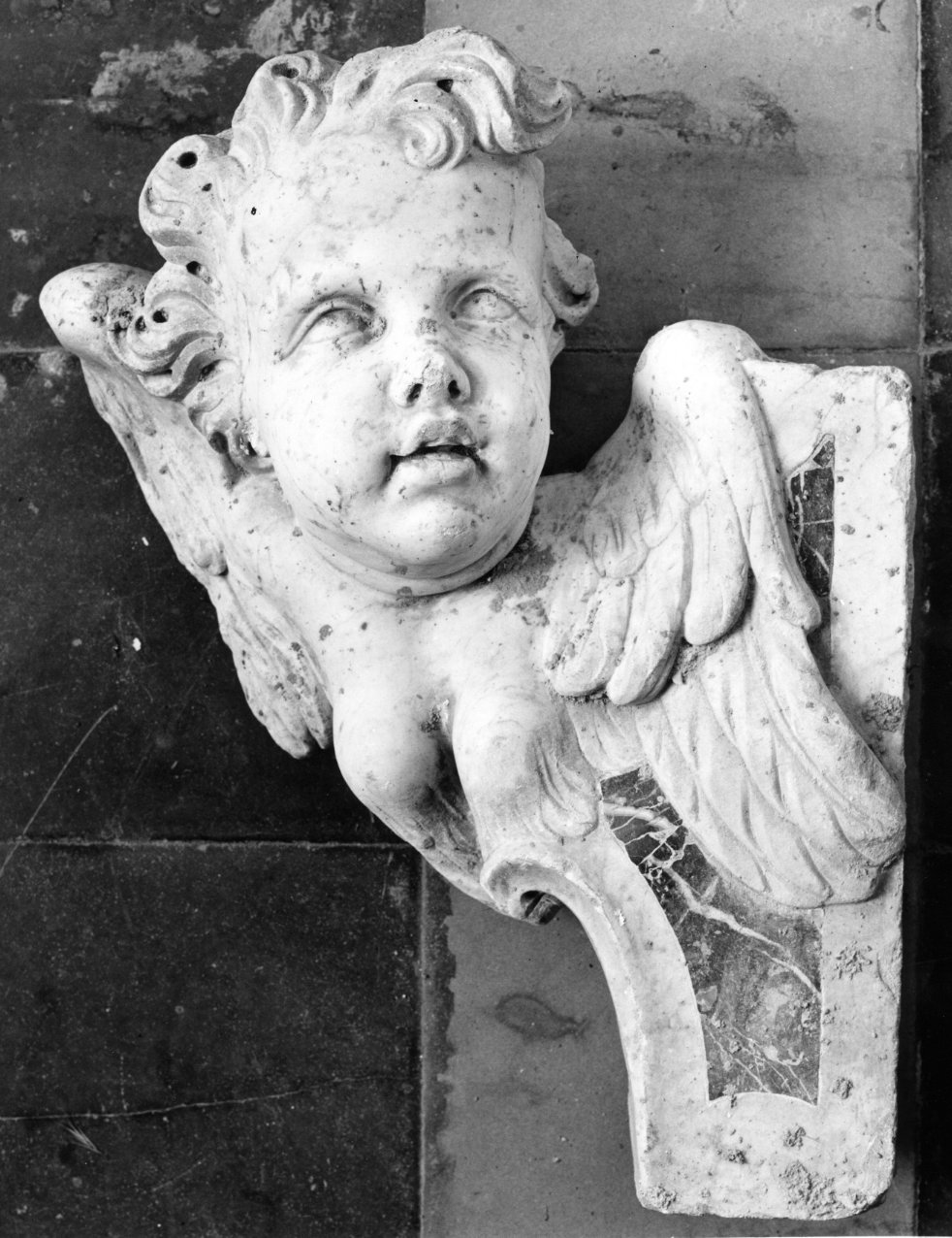 cherubino (rilievo) - bottega napoletana (seconda metà sec. XVIII)