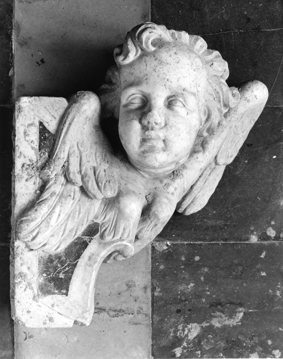 cherubino (rilievo) - bottega napoletana (seconda metà sec. XVIII)