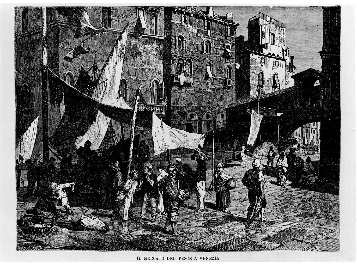 Il mercato del pesce a Venezia, veduta di Venezia (stampa) di Niedermann J, Schonlebrer G (sec. XIX)