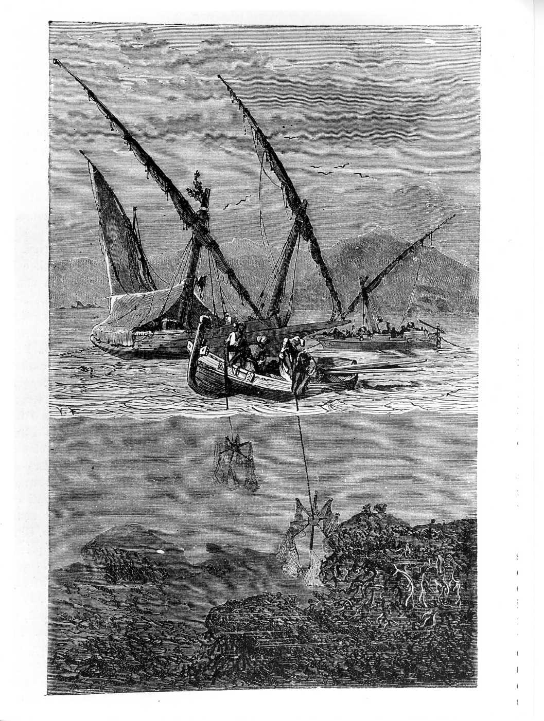 La pesca del corallo nel Mediterraneo, paesaggio marino (stampa) - ambito italiano (sec. XIX)