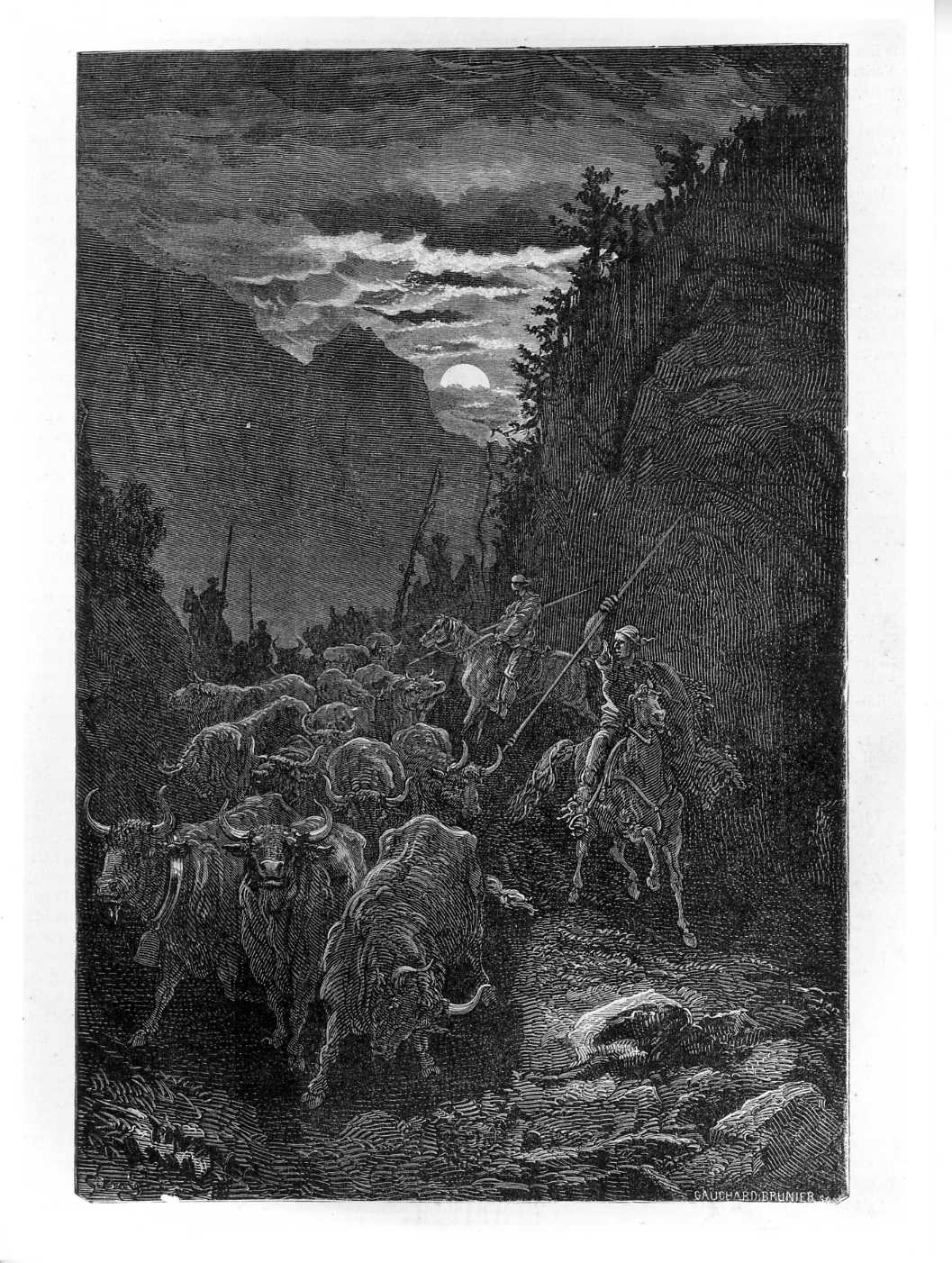 Tori condotti a Valenza di notte (costumi spagnoli), paesaggio con animali (stampa) di Doré Gustave (attribuito), Gauchard Brunier (attribuito) (sec. XIX)