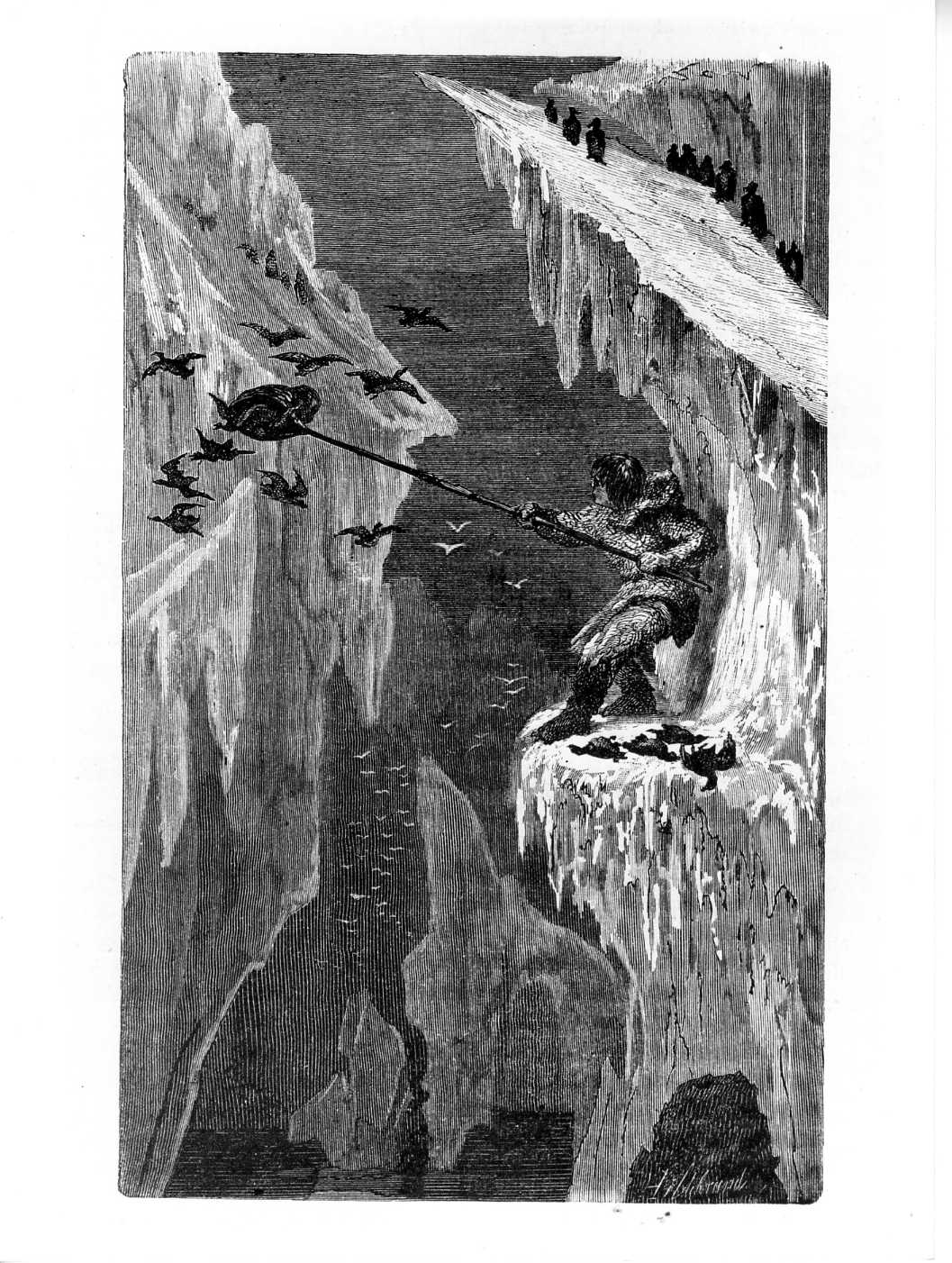 Caccia di pinguino nella Groenlandia, scena di caccia (stampa) di Hildibrand Henri Teophile (attribuito) (sec. XIX)