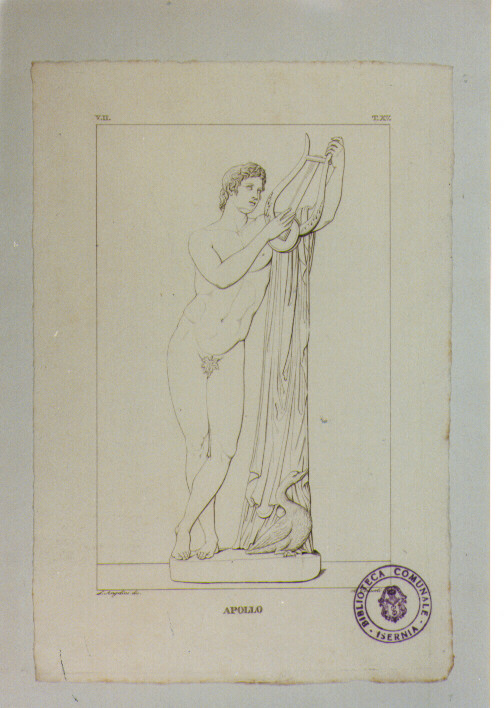 STATUA DI APOLLO (stampa) di Anonimo, Consorti Bernardino, Angelini Luigi (sec. XIX)