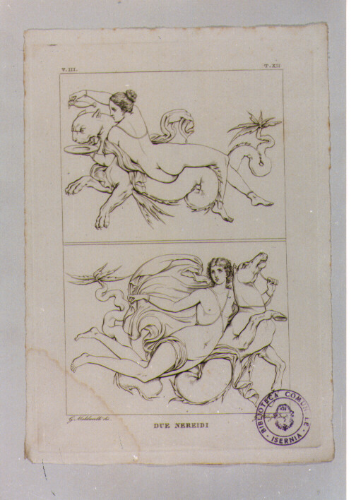DIPINTO DI DUE NEREIDI (stampa) di Anonimo, Wenzel Giovanni, Maldarelli Giovanni (sec. XIX)