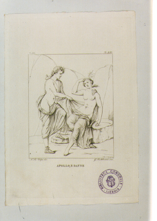 APOLLO E DAFNE (stampa) di Anonimo, Santalmassi G, La Volpe Nicola (sec. XIX)