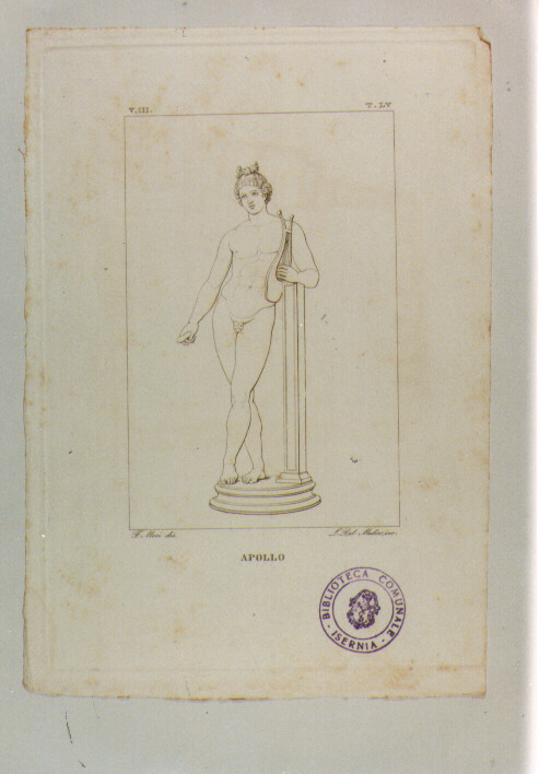 STATUA DI APOLLO (stampa) di Anonimo, Del Medico Luigi, Mori Ferdinando (sec. XIX)