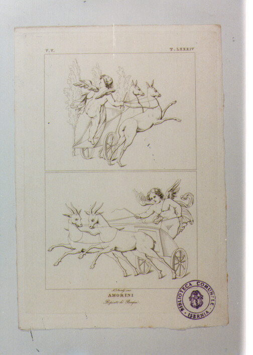 AMORINI CHE GUIDANO BIGHE TRAINATE DA CERVI (stampa) di Anonimo, Aureli Niccolò, La Volpe Nicola (sec. XIX)
