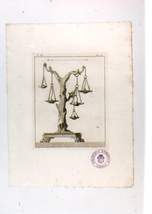 LAMPADARIO A FORMA DI TRONCO DI QUERCIA (stampa) - ambito napoletano (sec. XIX)