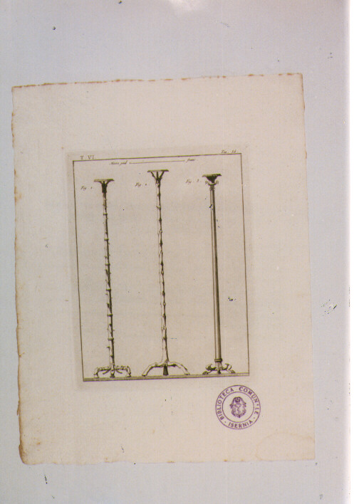 LAMPADARI CON FUSTO A FORMA DI TRONCO DI ALLORO E DI BAMBU' (stampa) - ambito napoletano (sec. XIX)