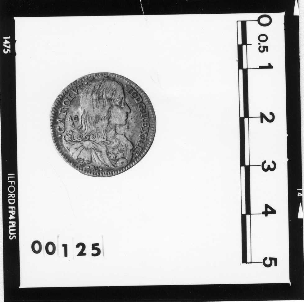 moneta - 1 tarì (sec. XVII d.C)