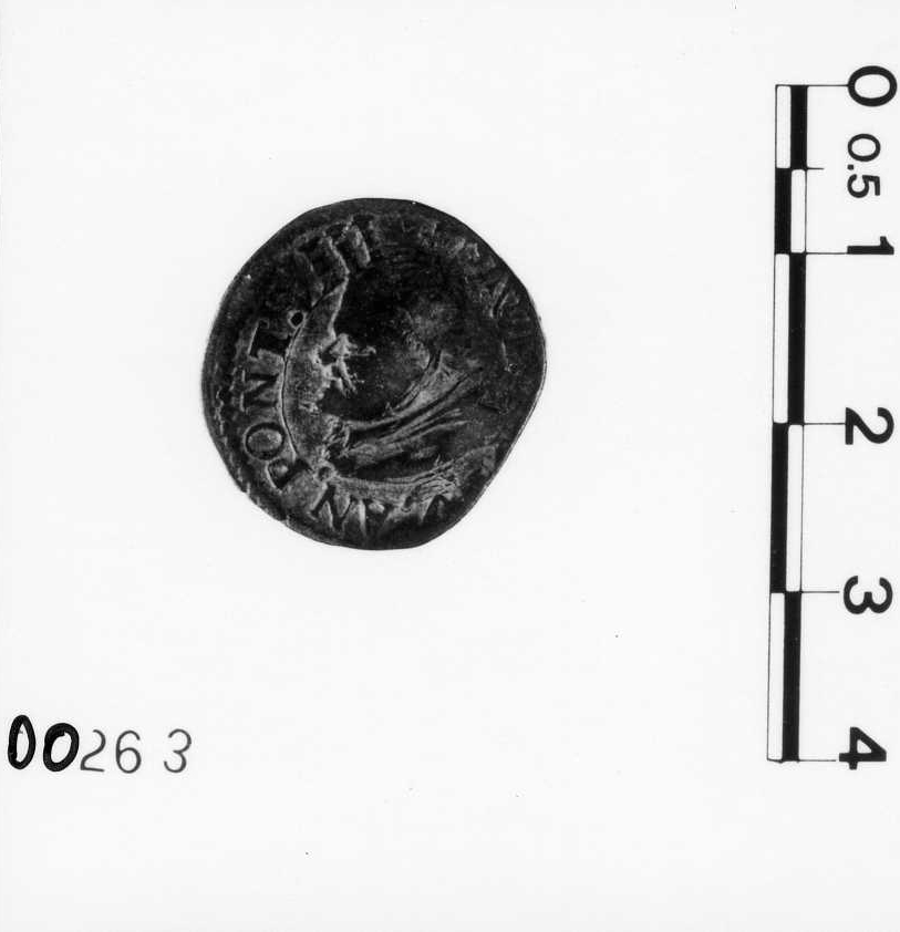 moneta (secc. XI/ XIV d.C)