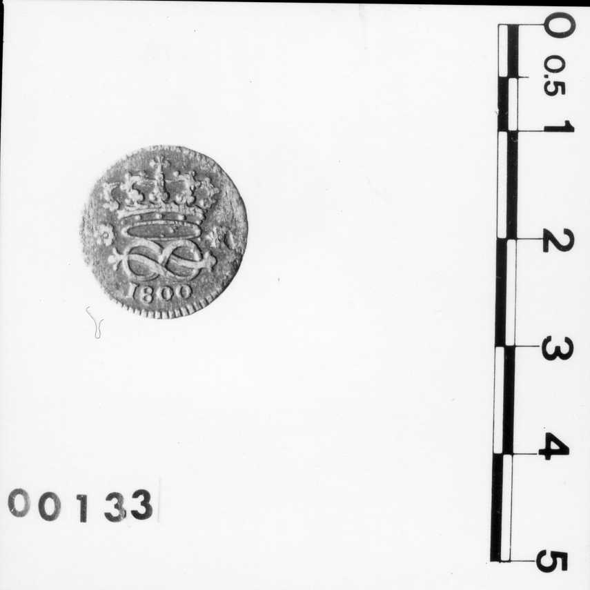 moneta - 2 denari (sec. XIX d.C)