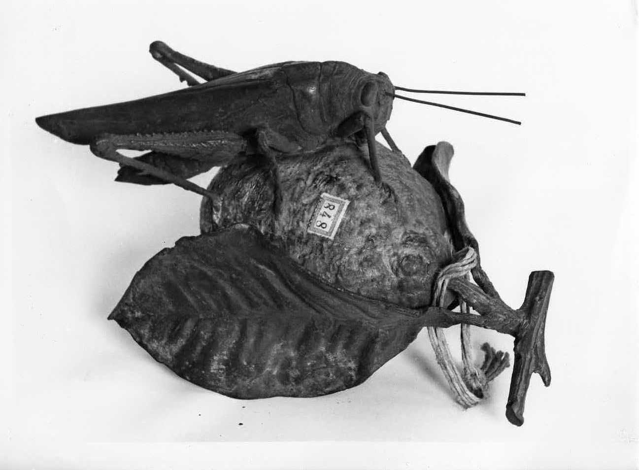 grillo poggiato su di un limone, animali (gruppo scultoreo, opera isolata) di Jerace Vincenzo (attribuito) (fine sec. XIX)