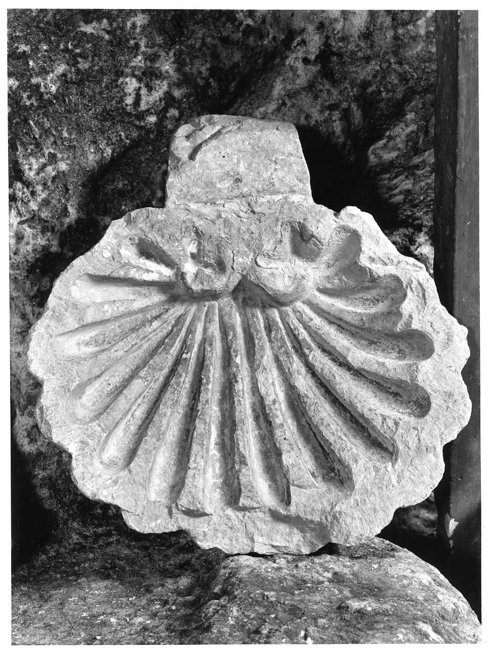 acquasantiera da parete, frammento - bottega molisana (inizio sec. XVIII)