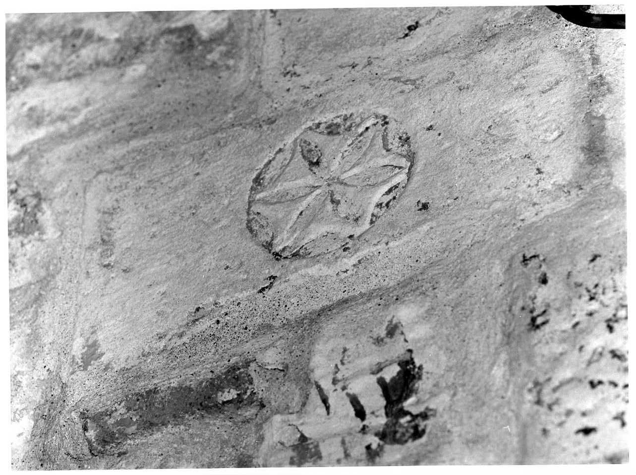 motivi decorativi geometrici (concio) - bottega Italia meridionale (sec. XII)