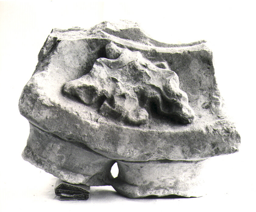 rosone, frammento - bottega molisana (secc. XIII/ XV)