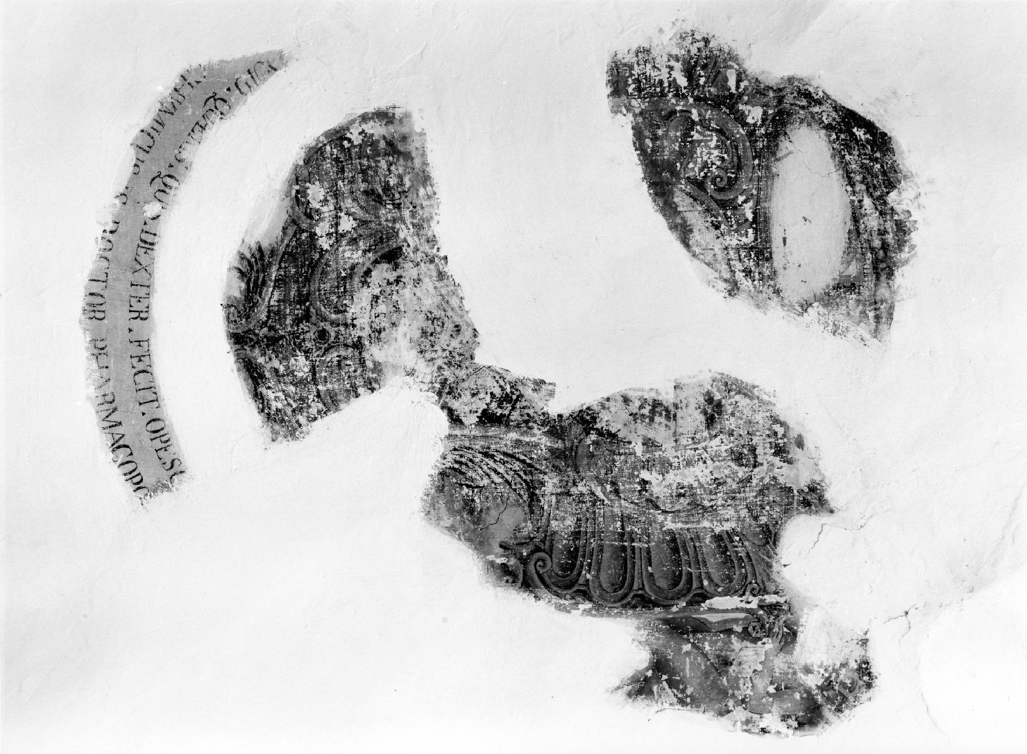 stemma gentilizio (dipinto, elemento d'insieme) - ambito molisano (sec. XVIII)