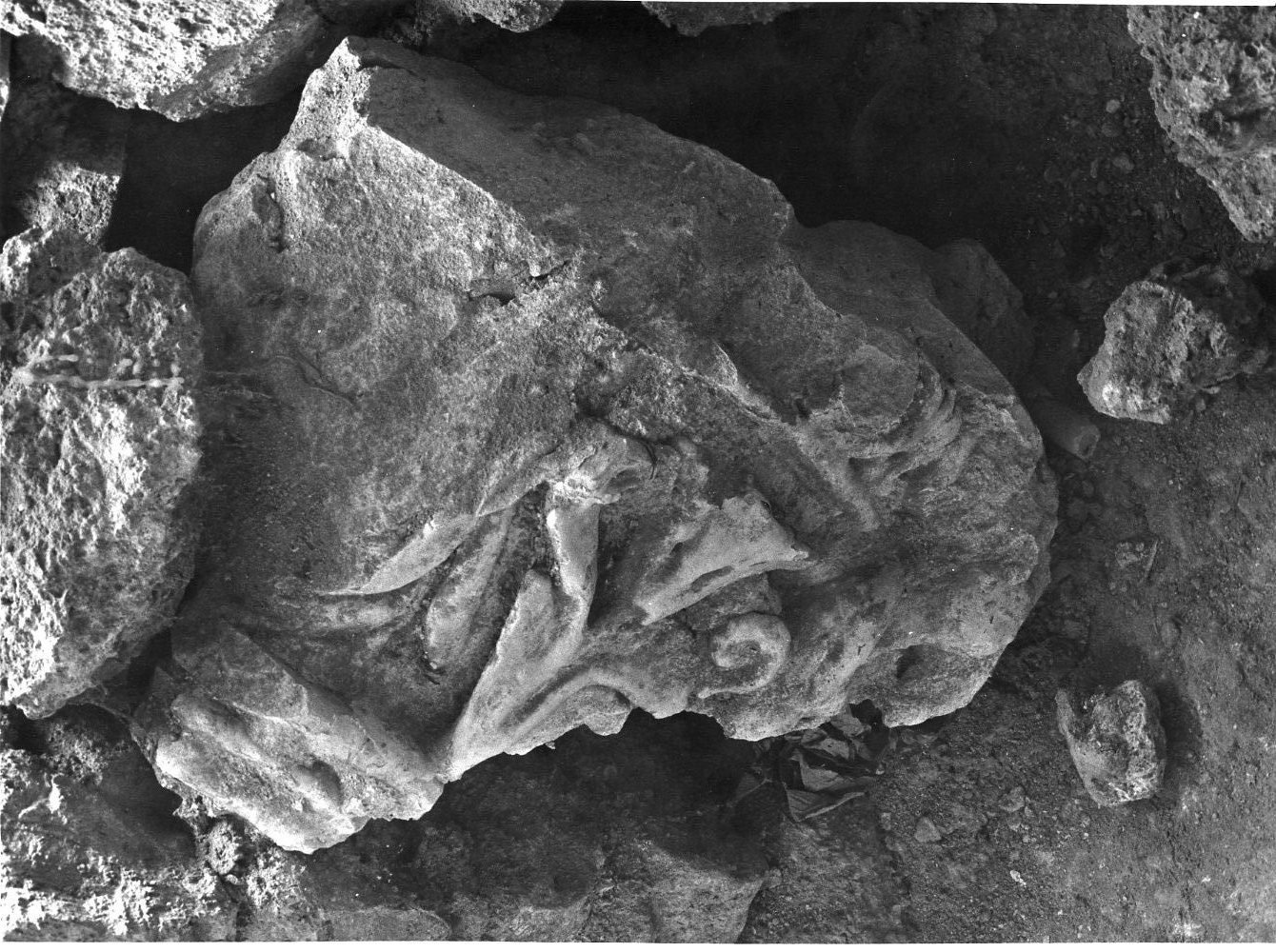 capitello, frammento - bottega Italia meridionale (sec. XIV)