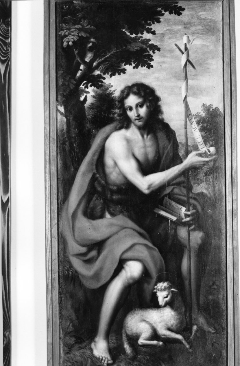 San Giovanni Battista (dipinto) - ambito Italia meridionale (secc. XVI/ XVII)