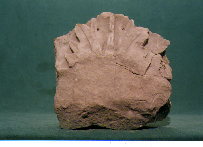 rilievo, frammento - bottega Italia meridionale (sec. XII)