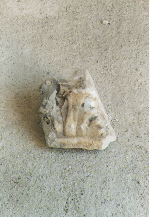 capitello, frammento - bottega Italia meridionale (sec. XII)