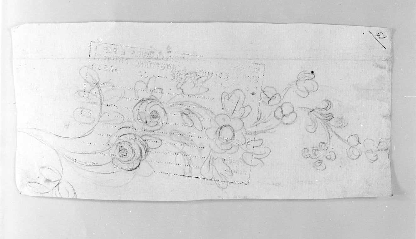 Tralcio floreale (disegno) di Di Zinno Paolo Saverio (attribuito) (sec. XVIII)